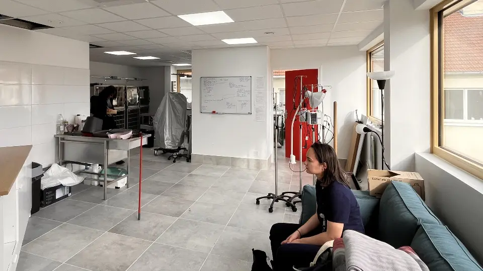 Intérieur d'une clinique vétérinaire moderne avec une salle d'opération et une salle d'attente lumineuses.