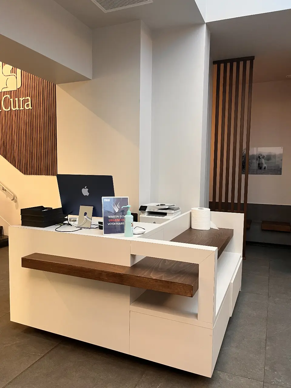 Accueil lumineux d'une clinique vétérinaire avec un sol carrelé gris et un comptoir blanc laqué et bois.