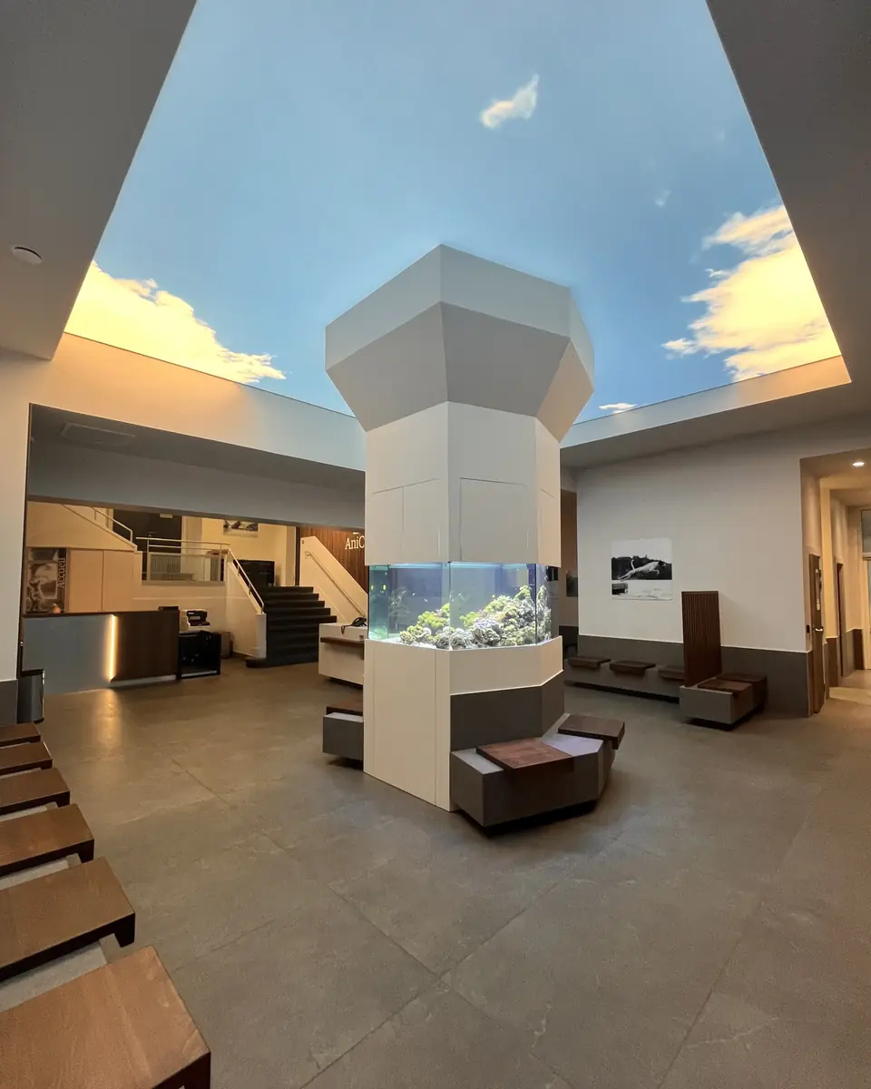 MUV Veterinary Clinic Fit-Out Strasbourg | Xiléades, Design + Build Architecture Agency — Médical & Vétérinaire by Xiléades