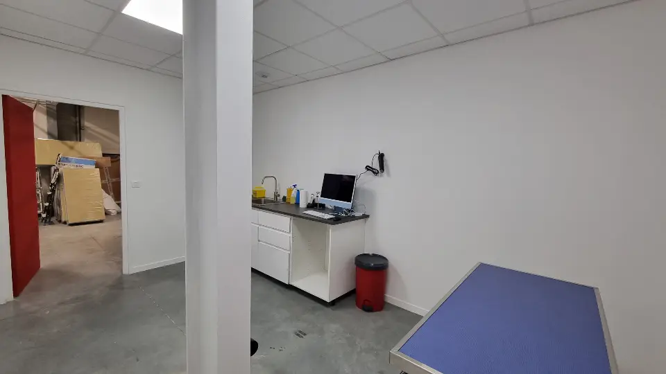 Salle d'examen vétérinaire moderne avec murs blancs, évier, ordinateur et table d'examen.