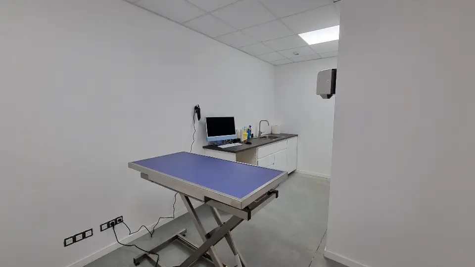 Salle de consultation vétérinaire moderne avec table d'examen réglable, évier intégré et écran d'ordinateur, murs blancs lumineuse